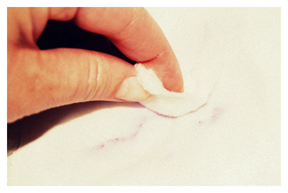 Cómo quitar manchas de tinta